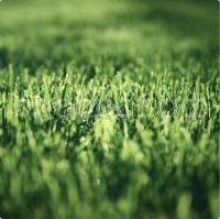 rectangle-37 rectangle-37