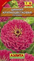 Цинния Крупноцветковая розовая