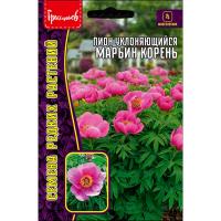 Редкие растения Пион Марьин Корень уклоняющийся 5 шт  Редкие растения Пион Марьин Корень уклоняющийся 5 шт