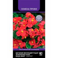 Поиск Комн. Бегония вечноцветущая зеленолистная Бада Бинг Скарлет 15шт