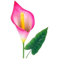 Стикер садовый Калла Ремани 108841 Стикер садовый Калла Ремани 108841