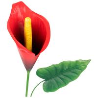 Стикер садовый Калла Ред Алерт 108840 Стикер садовый Калла Ред Алерт 108840