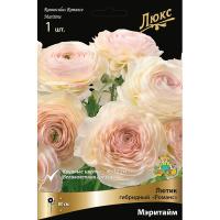 Лютик гибридный Романс Мэритайм /К 839685