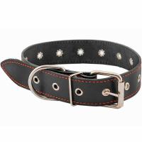 Ошейник кожа 35мм ЧИП натурал кожа простроч.до 71см черный/51038черн/Дарэлл