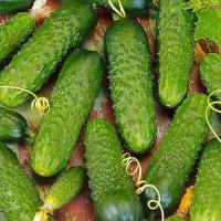 Каприс Фермерская Огурец Меренга F1 100 шт