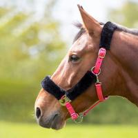 Инструмент Недоуздок д/лошадей SHIRES FULL флис розовый (Великобритания) Инструмент Недоуздок д/лошадей SHIRES FULL флис розовый (Великобритания)