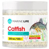 Рыбы ведро Catftsh 250мл /120гр Рыбы ведро Catftsh 250мл /120гр