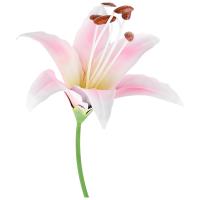 Стикер садовый Лилия Марлен 108844 Стикер садовый Лилия Марлен 108844