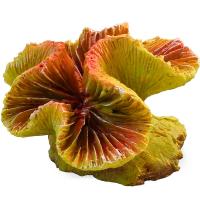 Грот Коралл искуств.Каталофиллия оранжевая 70*65*40мм/74004106/Триол