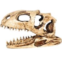 Грот Череп динозавра Nomoy Pet 18х5.5х11см/NMP-NS-98/АЛ