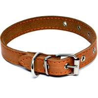 Ошейник кожа 35мм щенячий 36-64см/00335091/Каскад