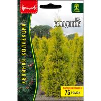 Редкие растения Туя Складчатая 0,1 г  Редкие растения Туя Складчатая 0,1 г