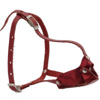 Намордник кожа цельнокроеный Шпиц/04014012/Каскад