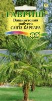 Вашингтония мощная Санта-Барбара 3шт Вашингтония мощная Санта-Барбара 3шт