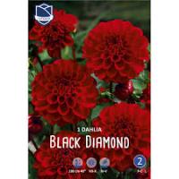 Блэк Даймонд