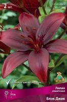 Лилия Азиатская Блэк Джек (12/14) 5 шт