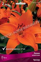 Лилия Азиатская Трезор (12/14) 5 шт 