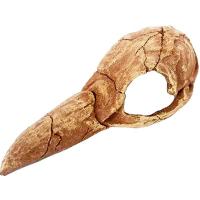 Грот Череп птицы Nomoy Pet 20х8х6.5см/NMP-NS-121/АЛ