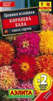 Цинния Королева бала смесь