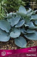 Хоста гибридная Муди Блюз (I) 1 шт 