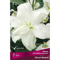 Лилия Восточная махровая Лотус Бьюти