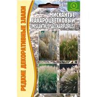 Мискантус Сахароцветковый (Мiscanthus sacchariflor) 0,1г Мискантус Сахароцветковый (Мiscanthus sacchariflor) 0,1г