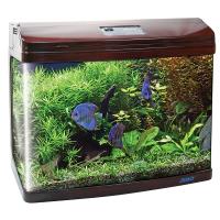 Аквариум прямоугольный полный комлект 143,3л(75*42*56см)Вишня 375R/Триол