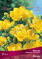 Фрезия гибридная махровая Йеллоу (5/6) 10 шт 741620