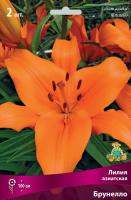 Лилия Азиатская Брунелло (14/16) 2шт