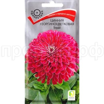 Цинния георгиноцветковая Бордо 0,4г  Цинния георгиноцветковая Бордо 0,4г
