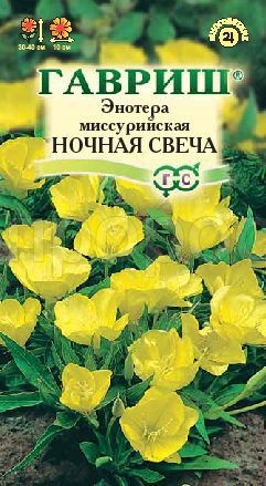 Энотера миссурийская Ночная свеча 0,2г Энотера миссурийская Ночная свеча 0,2г