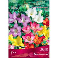 Фрезия гибридная Смесь окрасок (5/6) 10 шт 741651