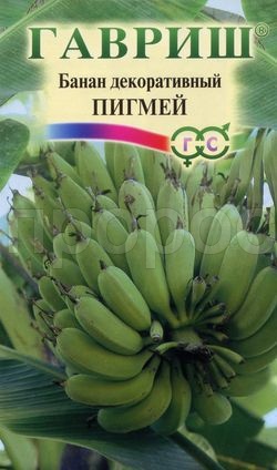 Банан Декоративный Пигмей 3шт  Банан Декоративный Пигмей 3шт
