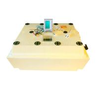 Инкубатор "Золушка-2020" автом.переворот 98/220/12/Новосибирск