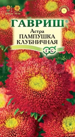Астра Пампушка клубничная 0,3 г, помпонная Астра Пампушка клубничная 0,3 г, помпонная