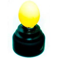 Овоскоп сверхъяркий светодиодный