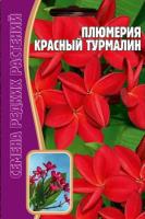 Плюмерия Красный Турмалин 3 шт Плюмерия Красный Турмалин 3 шт