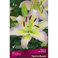 Лилия ОТ-Гибрид Притти Вумен (14/16) 2 шт 