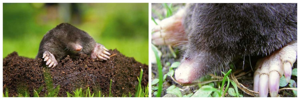 детальная-картинка.jpg детальная-картинка.jpg