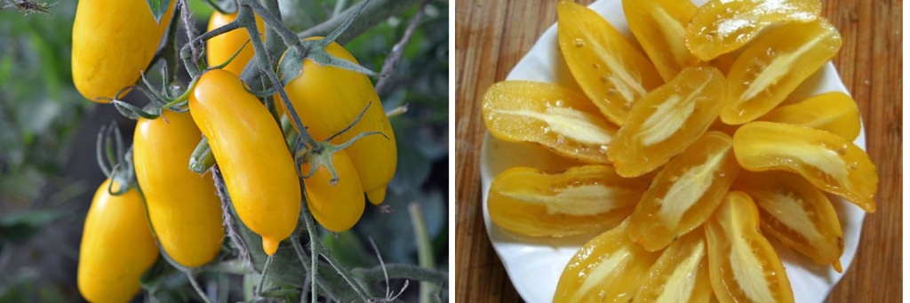 Банановые ноги.jpg Банановые ноги.jpg