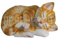 880рыжий 880рыжий