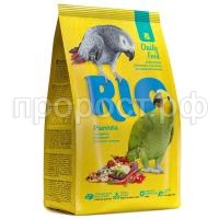 RIO_parrots_pachka_r