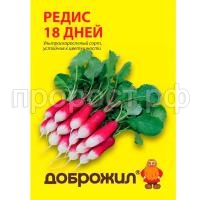 редис 18 дней редис 18 дней