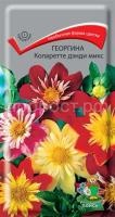 Георгина Коларетте дэнди микс Георгина Коларетте дэнди микс