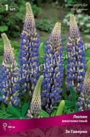 люпин зе гавернэ