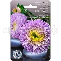Астра Хризантелла Лунный камень 30шт Биотехника