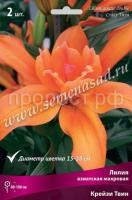 Лилия Азиатская махровая Крейзи Твин (14-16) 2 шт 736096 Лилия Азиатская махровая Крейзи Твин (14-16) 2 шт 736096