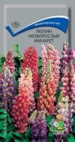 Люпин низкорослый Минарет Люпин низкорослый Минарет
