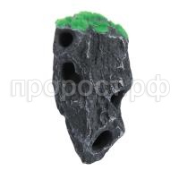 Грот навесной скалистый берег