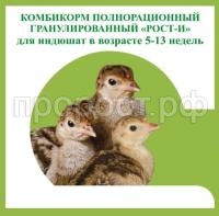 рост индюшата рост индюшата